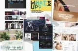 Wordpress website builder