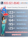 Carpet Cleaners League City TX