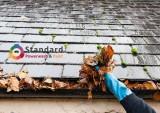 Standard Pressure Roof Cleaning in Voorhees NJ