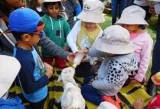 Childcare Macquarie Park