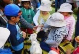 Childcare Macquarie Park