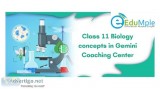 Class 11 Biology concepts in Gemini Coaching Center