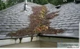 Roofing Services