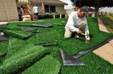 Looking for Fake Grass in Long Beach