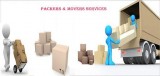 Packing Services in Tampa