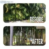 LAND CLEARING POND DIGGING - STORM PREP- TRIM and REMOVE
