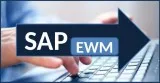 Proexcellency provides s4hana ewm training