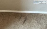 Carpet hole repair melbourne - master carpet repair melbourne