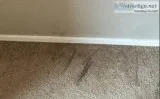 Carpet hole repair melbourne - master carpet repair melbourne