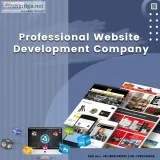 Professional Website Designing and Web Development Company In US