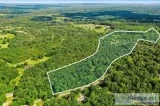 Beautiful treed 22.1-acre tract of land - 250000
