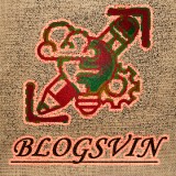 Blogsvin is a india based digital marketing agency