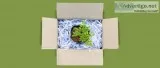 Best Recyclable Jewellery Packaging