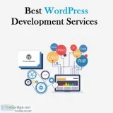 Get Custom WordPress Development Services in DelhiNCR