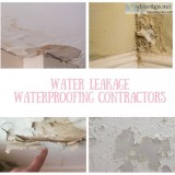 Wall Water Leakage Waterproofing
