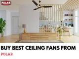 Want Decorative Ceiling Fans For That Mesmerizing Dining Room