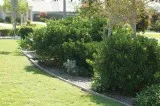 Lawn Mowing Mernda