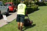 Lawn Mowing Jacana