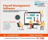 A Perfect Online Payroll Management Software for Small Business