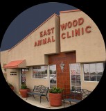 Choose Best Pet Boarding Service from El Paso&rsquo Renowned Ani