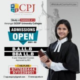 Cpj college fees structure