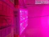 600-Watt LED Grow Light