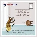 Termite Control in Madhapur HiTech City Hyderabad