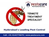 Anti Termite Treatment in Miyapur Hyderabad