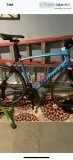 Specialized Roubaix 58 cm
