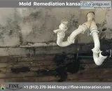 Top Mold Remediation Service in Kansas City