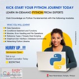 Professional training on python available both online and offlin