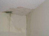 Water leakage Waterproofing Services