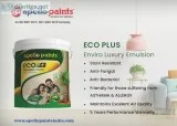 Interior emulsion paints manufacturers