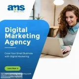 Social Media Optimization Agency In India