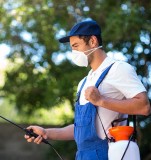 Pest Control Service in Delhi