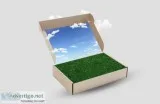 Sustainable Cosmetic Packaging in Delhi