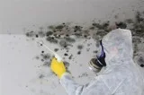 Mold Remediation In Massachusetts - Ata Fire and Flood Restorati
