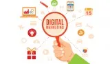 Website Designing Company in Panchkula