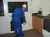 Spray for mosquito control