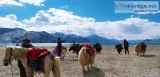 Leh ladakh road trip Best summer trip