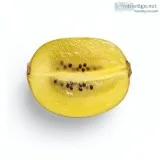 Kiwi exporter