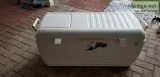 LARGE IGLOO COOLER