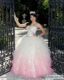 ESPECIAL PARA QUINCEA&ntildeERAS FOTOS