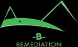 Mold-B-Gone