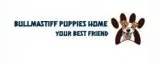 Bullmastiff puppies for sale