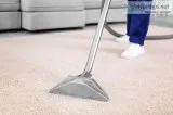 Meet Our Professional Carpet Cleaners In Parker CO