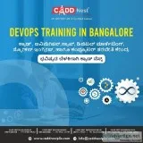 CADD Nest Animation Training Center