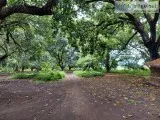 Very accessible farm land - lian batangas - rush sale 