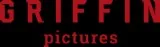 Corporate video production company in delhi - griffin pictures