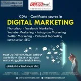 Learn Digital Marketing Course CADD Nest